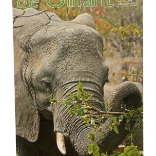 2006-aug Tijdschrift 'de Olifant' Zomer 2006