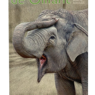 2006-dec Tijdschrift 'de Olifant' Winter 2006