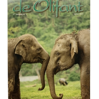 2021-2 Tijdschrift 'de Olifant' Zomer 2021