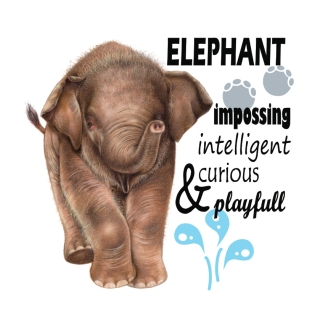 Koelkastmagneet olifant