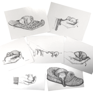 Kaartenset Gerdi Wind