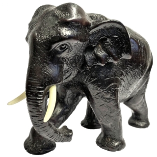 Aziatische Olifant 4