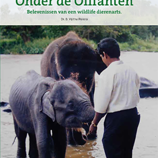 Boek 'Onder de olifanten'