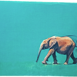 Kaartenset Chipembele