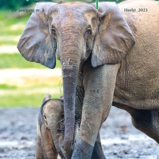 2023-2 Tijdschrift 'de Olifant' Zomer 2023