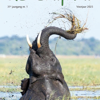 2025-1 Tijdschrift 'de Olifant' Voorjaar 2025