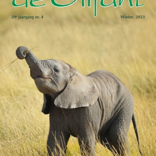 2023-4 Tijdschrift 'de Olifant' Winter 2023