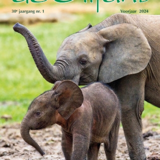 2024-1 Tijdschrift 'de Olifant' Voorjaar 2024
