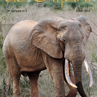 2024-2 Tijdschrift 'de Olifant' Zomer 2024
