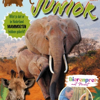 Tijdschrift 'de Olifant' Junior 2024-1