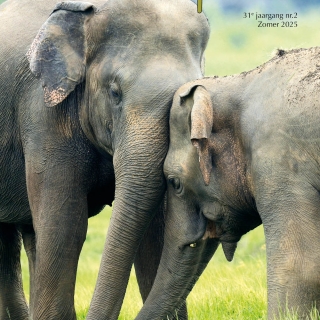 2025-2 Tijdschrift 'de Olifant' Zomer 2025