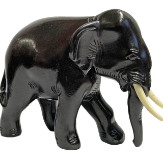 Aziatische Olifant 3