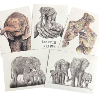 Kaartenset 2 Shael Adav