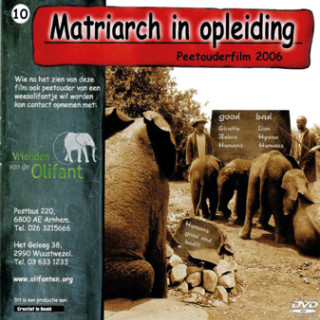 DVD weesolifantjes 2006 'Matriarch in opleiding'
