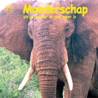 DVD weesolifantjes 2009 'Moederschap'