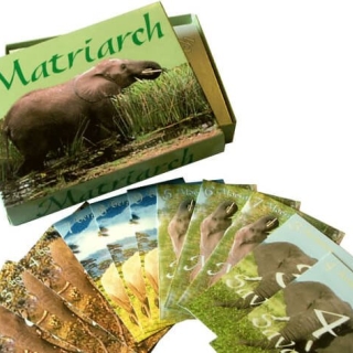 Kaartspel Matriarch