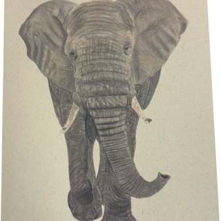 Notitieblok Fencil Studio