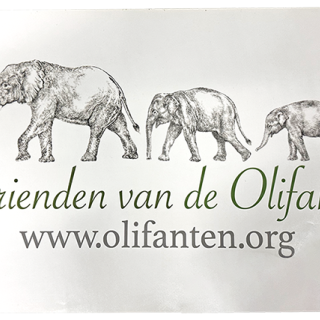 Raamsticker Vrienden van de Olifant 50 x 30 cm