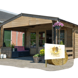 Donatie - Gebouw voor faciliteiten voor Elephant Haven (EHEES)