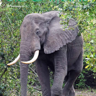 2022-3 Tijdschrift 'de Olifant' Herfst 2022