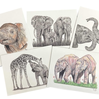 Kaartenset 1 Shael Adav