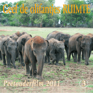 DVD weesolifantjes 2011 'Geef de olifantjes ruimte'