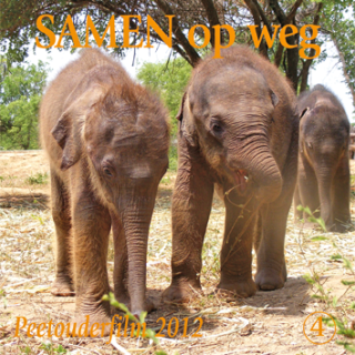 DVD weesolifantjes 2012 'Samen op weg'