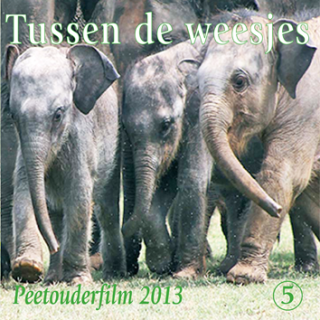 DVD weesolifantjes 2013 'Tussen de weesjes'