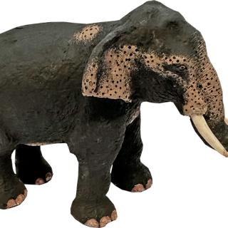 Sri Lankaanse Olifant