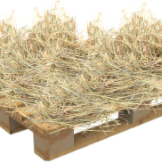 Donatie - Baaltje luzerne