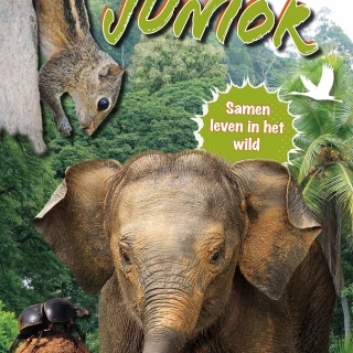 Tijdschrift 'de Olifant' Junior 2024-2