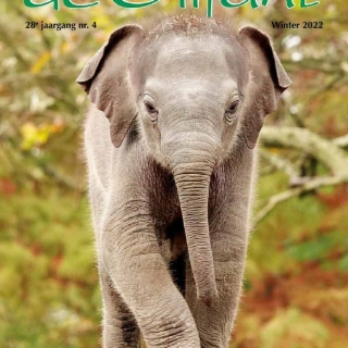 2022-4 Tijdschrift 'de Olifant' Winter 2022